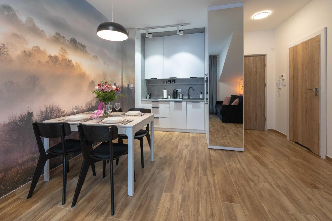 Apartamenty Spokojna Z Balkonem - Dream Apart Wisła Εξωτερικό φωτογραφία